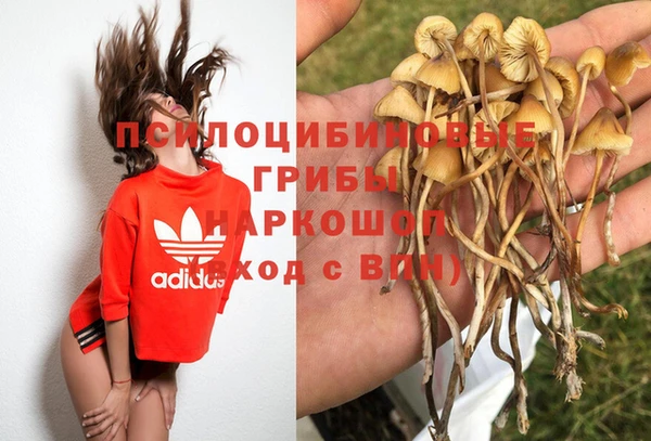 герыч Верея